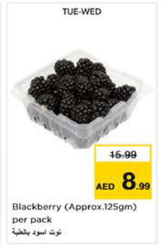 Blackberry available at Nesto Hypermarket in UAE - Abu Dhabi