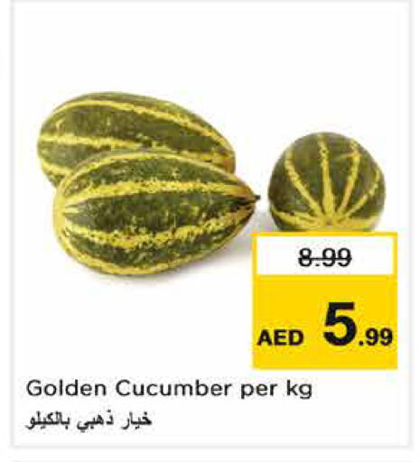 Cucumber available at Nesto Hypermarket in UAE - Ras al Khaimah