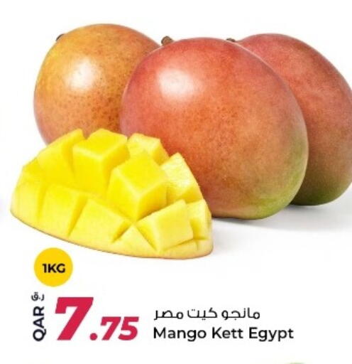 Mango من Egypt متوفر لدى روابي هايبرماركت في قطر - الريان