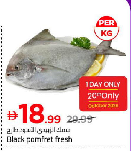 available at Mark & Save in UAE - Dubai
