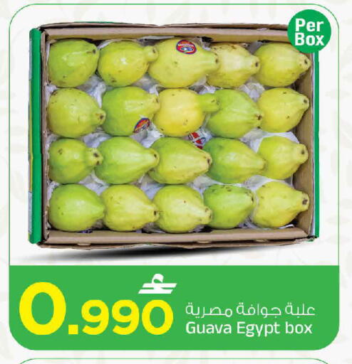 Guava من Egypt متوفر لدى مارك & سايف في عُمان - مسقط‎