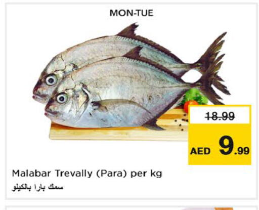 متوفر لدى نستو هايبرماركت في الإمارات العربية المتحدة , الامارات - رَأْس ٱلْخَيْمَة