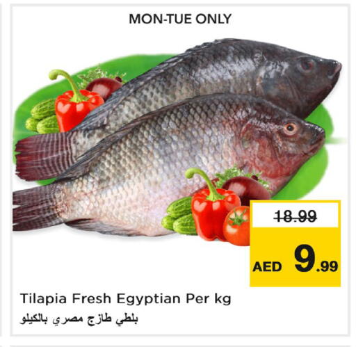 متوفر لدى نستو هايبرماركت في الإمارات العربية المتحدة , الامارات - ٱلْعَيْن‎