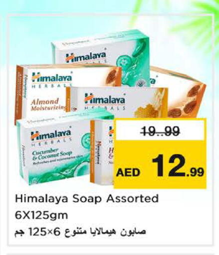 Coconut Cucumber available at Nesto Hypermarket in UAE - Sharjah / Ajman