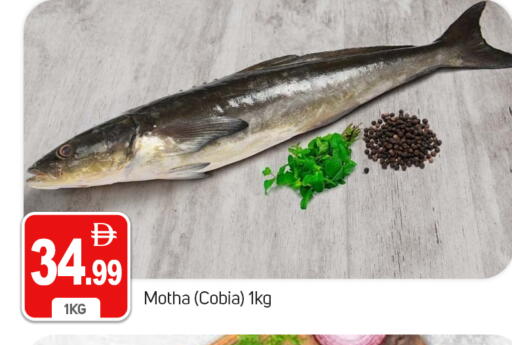 متوفر لدى سوق طلال في الإمارات العربية المتحدة , الامارات - دبي