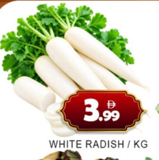 Radish متوفر لدى لكي سنتر في الإمارات العربية المتحدة , الامارات - الشارقة / عجمان