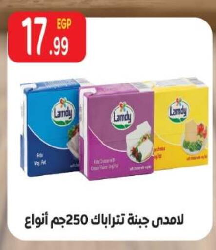 available at El mhallawy Sons in Egypt - Cairo