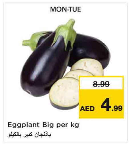 Eggplant available at Nesto Hypermarket in UAE - Umm al Quwain