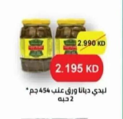 متوفر لدى جمعية سلوى التعاونية في الكويت - محافظة الجهراء
