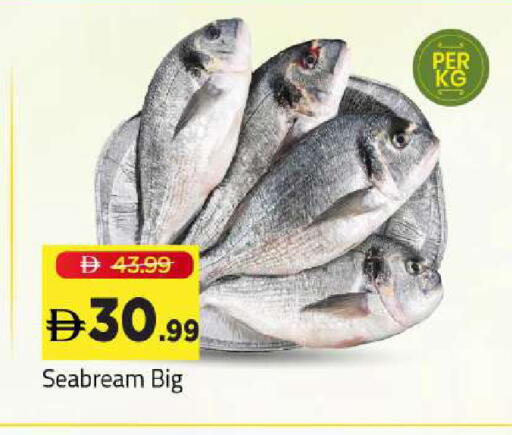 available at Mark & Save in UAE - Sharjah / Ajman
