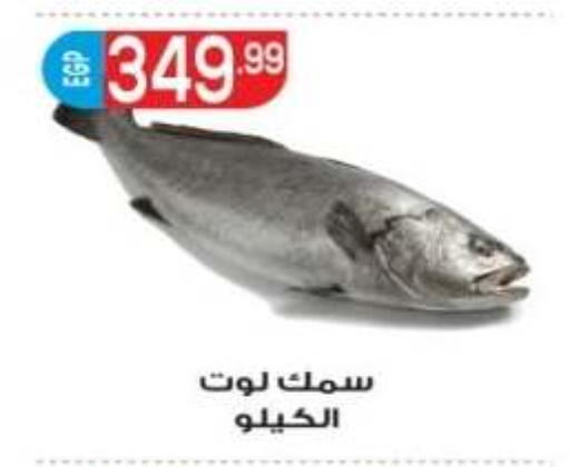 available at El mhallawy Sons in Egypt - Cairo