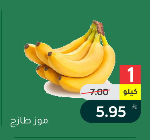 Apple متوفر لدى أسواق جرين أبل في مملكة العربية السعودية, السعودية, سعودية - الأحساء‎