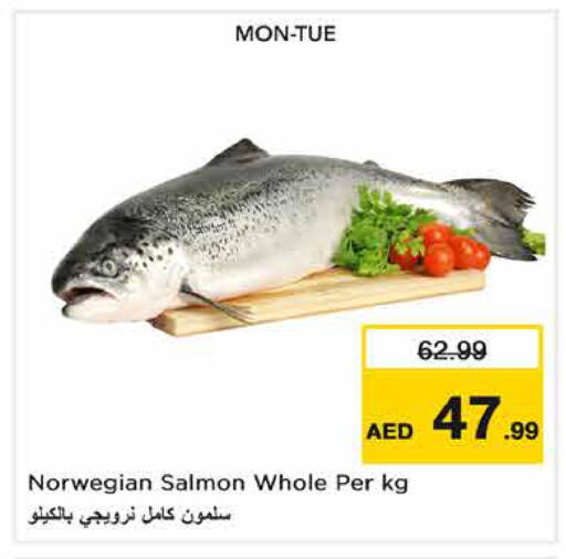 متوفر لدى نستو هايبرماركت في الإمارات العربية المتحدة , الامارات - رَأْس ٱلْخَيْمَة
