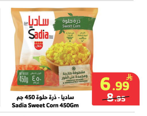available at Al Raya in KSA, Saudi Arabia, Saudi - Mecca