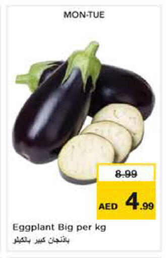 Eggplant متوفر لدى نستو هايبرماركت في الإمارات العربية المتحدة , الامارات - أبو ظبي