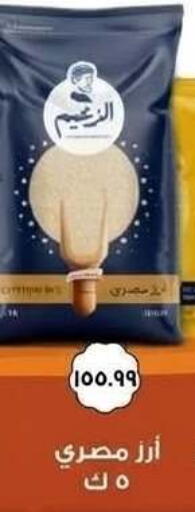 متوفر لدى أولاد المحاوى في Egypt - القاهرة