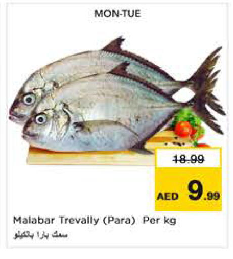 available at Nesto Hypermarket in UAE - Abu Dhabi