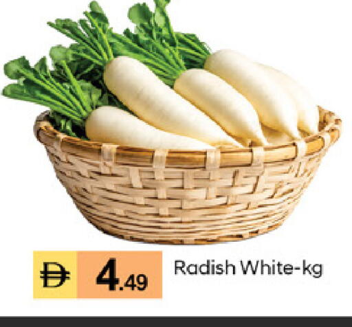 Radish available at TALAL MARKET in UAE - Dubai