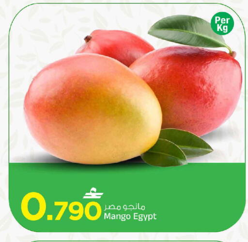 Mango from Egypt available at MARK & SAVE in Oman - Muscat