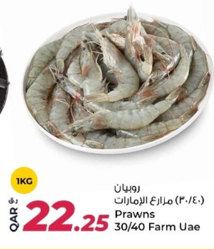 available at Rawabi Hypermarket in Qatar - Al Shamal