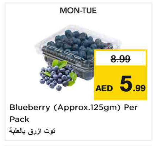 Blueberry BlueBerry متوفر لدى لاست تشانس في الإمارات العربية المتحدة , الامارات - ٱلْفُجَيْرَة‎