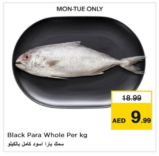 available at Nesto Hypermarket in UAE - Al Ain