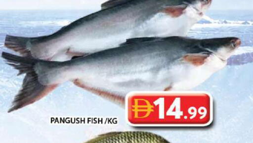 available at Grand Hyper Market in UAE - Dubai