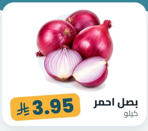 available at Tmoon Dammam in KSA, Saudi Arabia, Saudi - Dammam