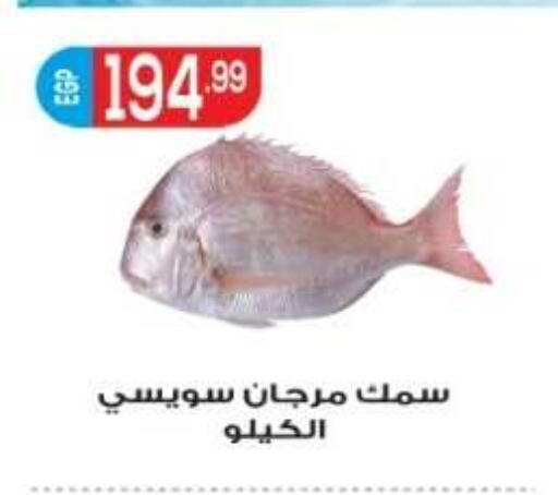 available at El mhallawy Sons in Egypt - Cairo
