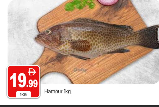 available at TALAL MARKET in UAE - Dubai