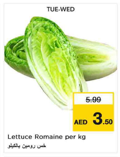 Lettuce متوفر لدى نستو هايبرماركت في الإمارات العربية المتحدة , الامارات - أم القيوين‎