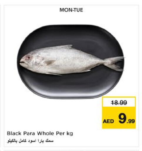 available at Nesto Hypermarket in UAE - Umm al Quwain
