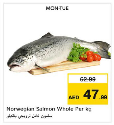 available at Nesto Hypermarket in UAE - Dubai