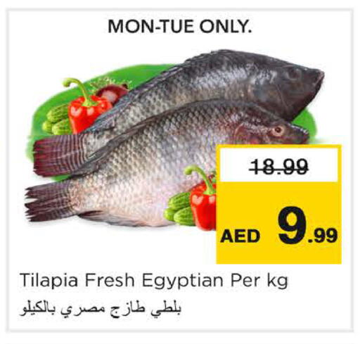 متوفر لدى نستو هايبرماركت في الإمارات العربية المتحدة , الامارات - دبي