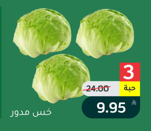 Apple available at Green Apple Market in KSA, Saudi Arabia, Saudi - Al Hasa