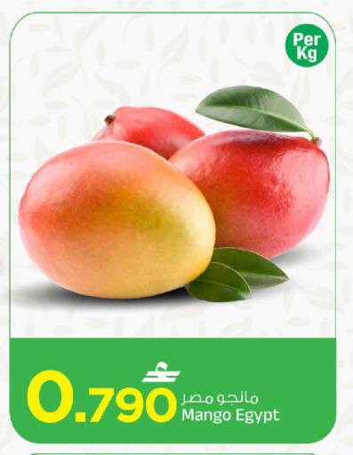 Mango من Egypt متوفر لدى مارك & سايف في عُمان - صُحار‎