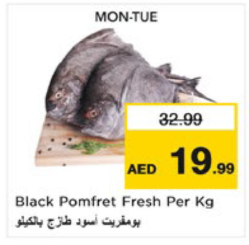 متوفر لدى نستو هايبرماركت في الإمارات العربية المتحدة , الامارات - ٱلْعَيْن‎