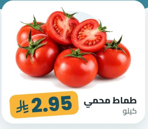 available at Tmoon Dammam in KSA, Saudi Arabia, Saudi - Dammam