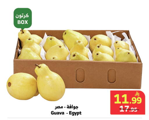 Guava من Egypt متوفر لدى الراية في مملكة العربية السعودية, السعودية, سعودية - الباحة