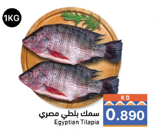 متوفر لدى  رامز في الكويت - مدينة الكويت