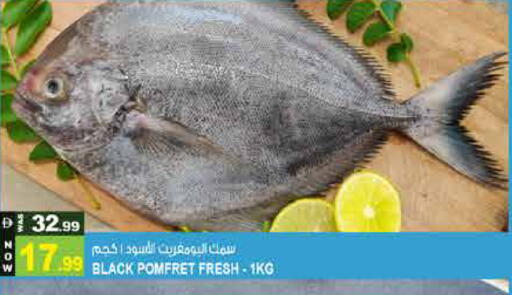 available at Hashim Hypermarket in UAE - Sharjah / Ajman