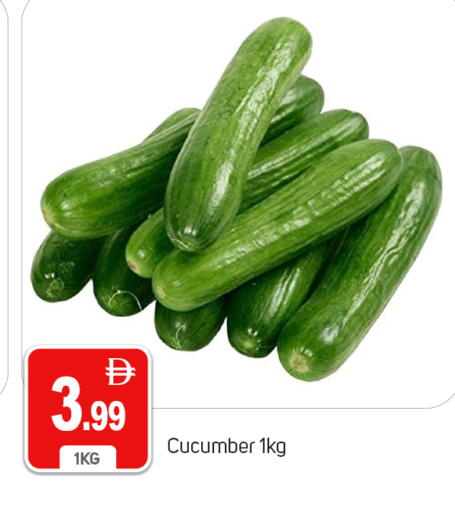 Cucumber متوفر لدى سوق طلال في الإمارات العربية المتحدة , الامارات - دبي
