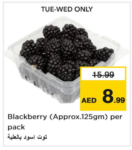 Blackberry available at Nesto Hypermarket in UAE - Dubai
