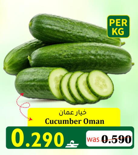 Cucumber from Oman available at Al Qoot Hypermarket in Oman - Muscat