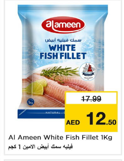 متوفر لدى نستو هايبرماركت في الإمارات العربية المتحدة , الامارات - ٱلْعَيْن‎