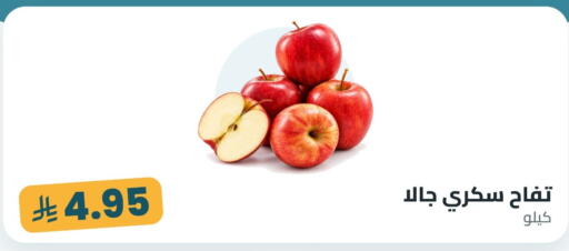 available at Tmoon Dammam in KSA, Saudi Arabia, Saudi - Dammam