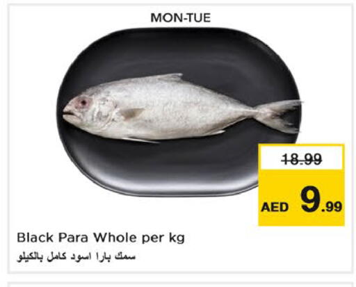 متوفر لدى نستو هايبرماركت في الإمارات العربية المتحدة , الامارات - رَأْس ٱلْخَيْمَة