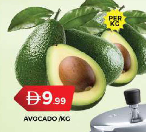 Avocado متوفر لدى جراند هايبر ماركت في الإمارات العربية المتحدة , الامارات - دبي