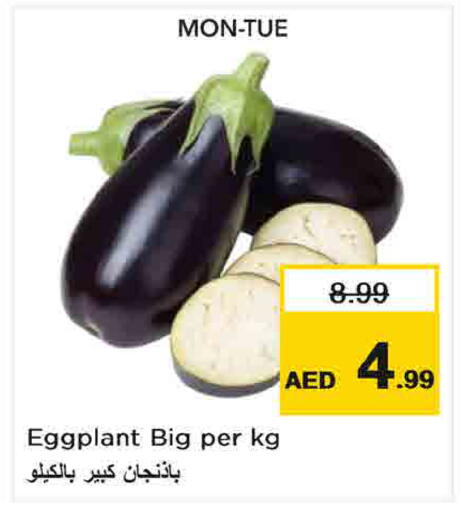 Eggplant available at Last Chance  in UAE - Fujairah
