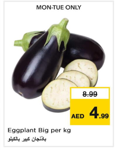 Eggplant متوفر لدى نستو هايبرماركت في الإمارات العربية المتحدة , الامارات - ٱلْعَيْن‎